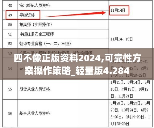 四不像正版資料2024,可靠性方案操作策略_輕量版4.284