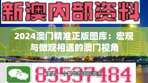 2024澳門精準正版圖庫：宏觀與微觀相遇的澳門視角