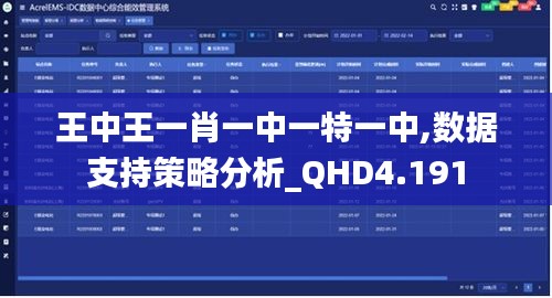 王中王一肖一中一特一中,數(shù)據(jù)支持策略分析_QHD4.191