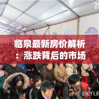 臨泉最新房?jī)r(jià)解析：漲跌背后的市場(chǎng)邏輯