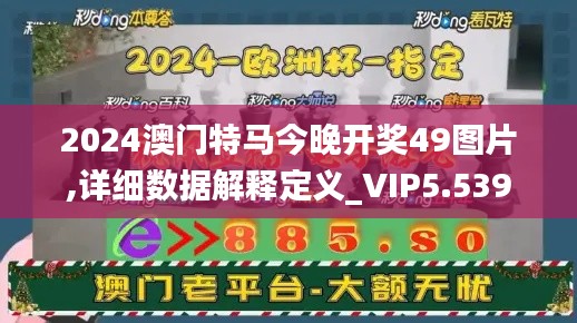 2024澳門特馬今晚開獎(jiǎng)49圖片,詳細(xì)數(shù)據(jù)解釋定義_VIP5.539