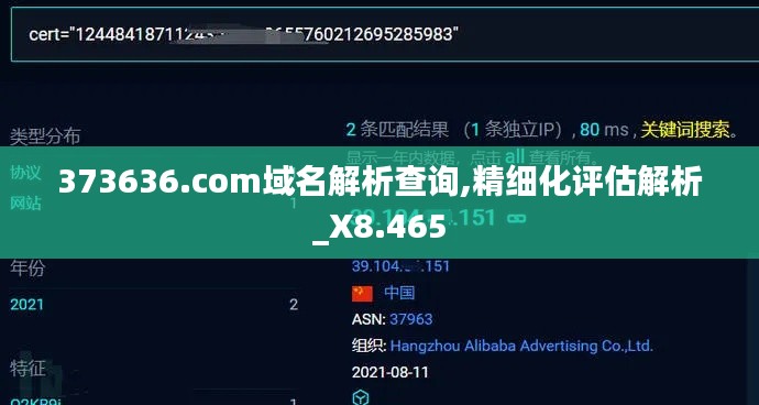 373636.com域名解析查詢,精細化評估解析_X8.465