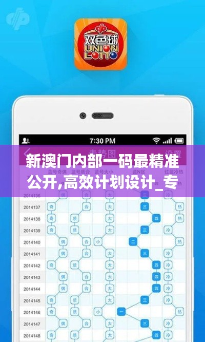新澳門內(nèi)部一碼最精準(zhǔn)公開,高效計(jì)劃設(shè)計(jì)_專家版1.599