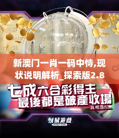 新澳門一肖一碼中恃,現(xiàn)狀說明解析_探索版2.898