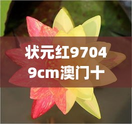 狀元紅97049cm澳門十三磅,靈活設(shè)計(jì)操作方案_N版4.893