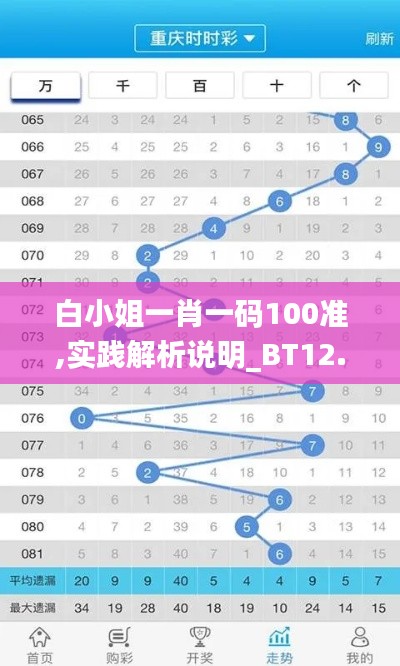 白小姐一肖一碼100準,實踐解析說明_BT12.931