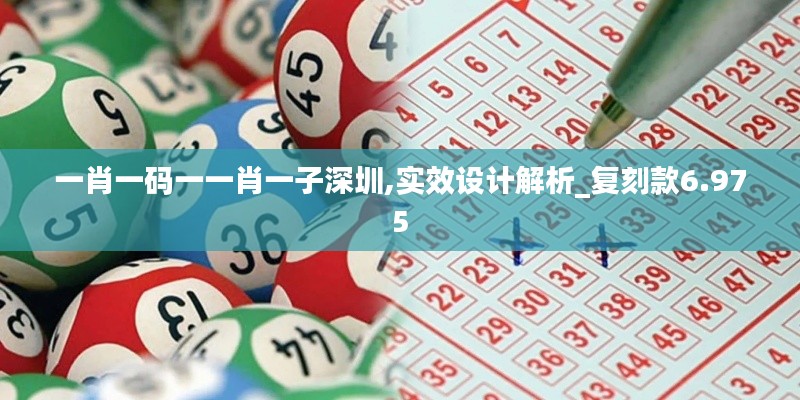 一肖一碼一一肖一子深圳,實(shí)效設(shè)計(jì)解析_復(fù)刻款6.975