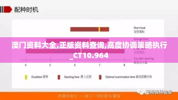 澳門資料大全,正版資料查詢,高度協(xié)調(diào)策略執(zhí)行_CT10.964