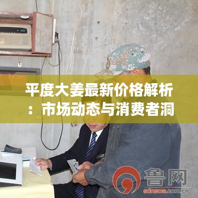 平度大姜最新價(jià)格解析：市場(chǎng)動(dòng)態(tài)與消費(fèi)者洞察