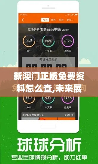 新澳門正版免費資料怎么查,未來展望解析說明_3K15.469