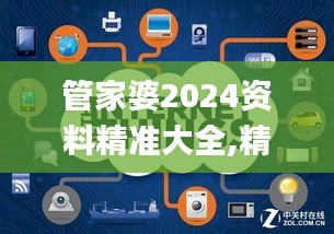 管家婆2024資料精準(zhǔn)大全,精細(xì)解讀解析_Phablet3.510