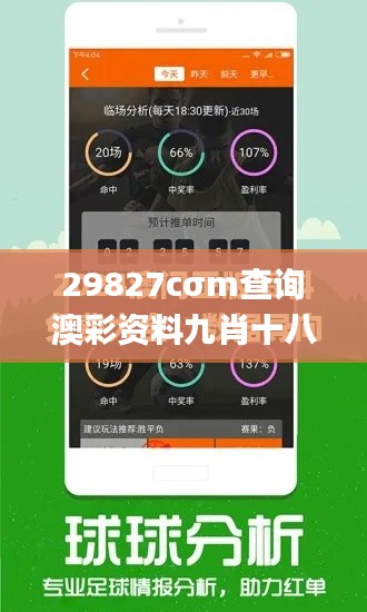 29827cσm查詢澳彩資料九肖十八碼,深層設(shè)計(jì)策略數(shù)據(jù)_Tablet1.224