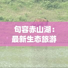 句容赤山湖：最新生態(tài)旅游勝地探秘