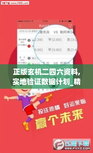 正版玄機二四六資料,實地驗證數(shù)據(jù)計劃_精簡版5.879