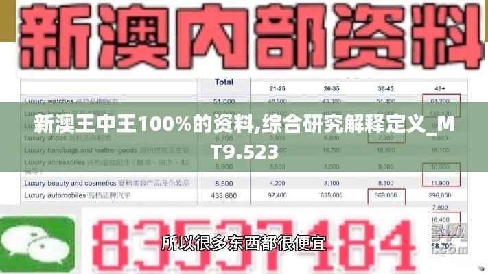 新澳王中王100%的資料,綜合研究解釋定義_MT9.523