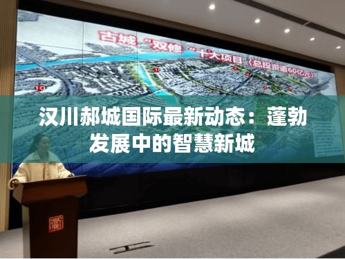 漢川郝城國際最新動態(tài)：蓬勃發(fā)展中的智慧新城