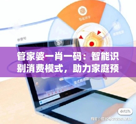 管家婆一肖一碼：智能識別消費模式，助力家庭預(yù)算控制