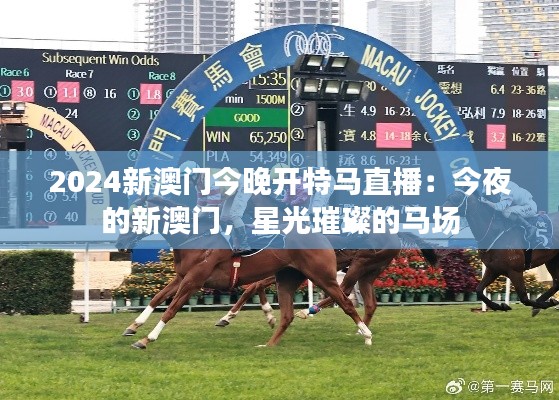 2024新澳門今晚開特馬直播：今夜的新澳門，星光璀璨的馬場(chǎng)