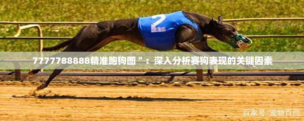 7777788888精準(zhǔn)跑狗圖＂：深入分析賽狗表現(xiàn)的關(guān)鍵因素