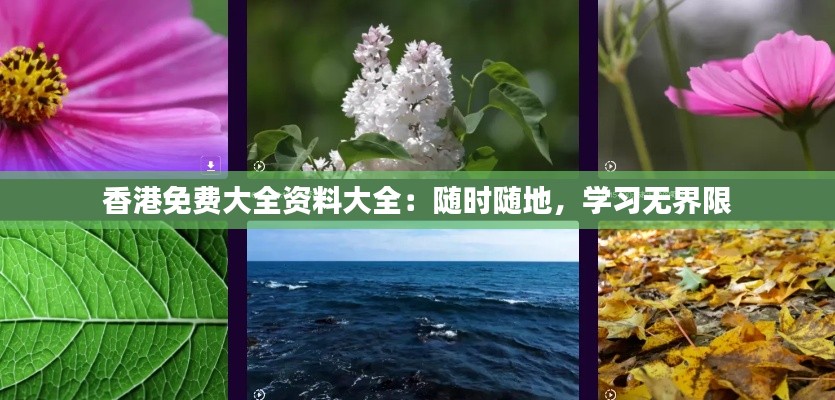 香港免費大全資料大全：隨時隨地，學習無界限