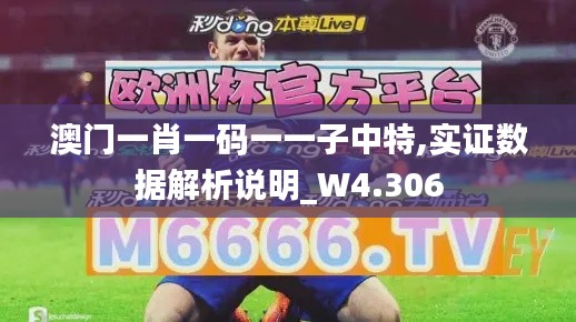 澳門一肖一碼一一子中特,實證數(shù)據(jù)解析說明_W4.306