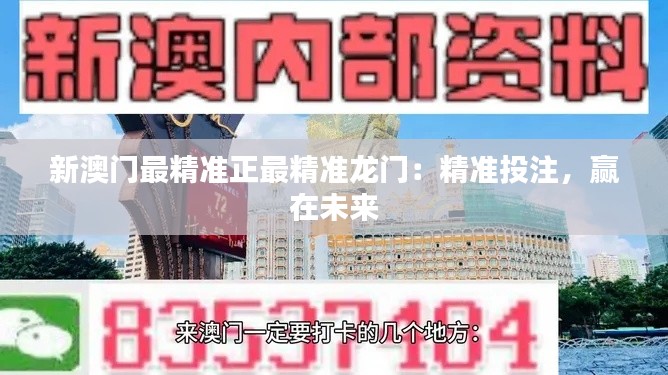 新澳門(mén)最精準(zhǔn)正最精準(zhǔn)龍門(mén)：精準(zhǔn)投注，贏在未來(lái)