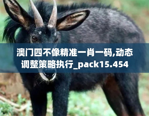澳門四不像精準(zhǔn)一肖一碼,動態(tài)調(diào)整策略執(zhí)行_pack15.454