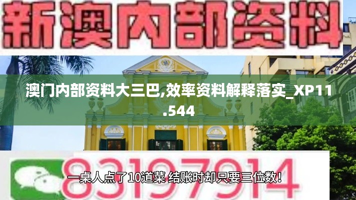 澳門內(nèi)部資料大三巴,效率資料解釋落實_XP11.544
