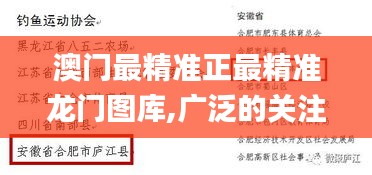 澳門最精準正最精準龍門圖庫,廣泛的關注解釋落實_粉絲版2.412