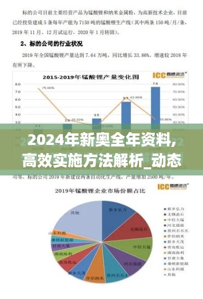 2024年新奧全年資料,高效實(shí)施方法解析_動(dòng)態(tài)版3.217