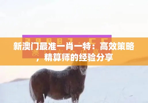新澳門最準(zhǔn)一肖一特：高效策略，精算師的經(jīng)驗分享