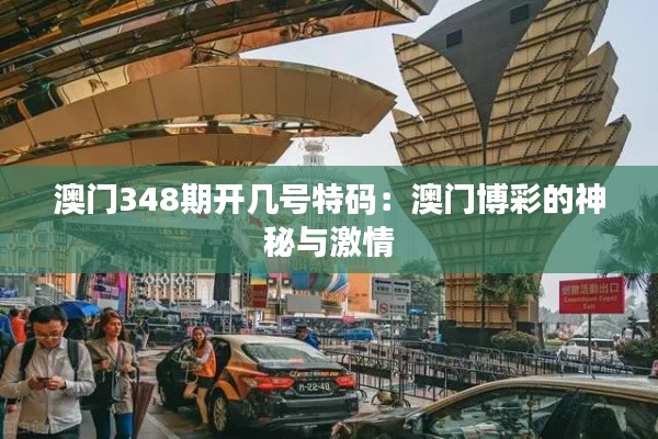 澳門348期開幾號(hào)特碼：澳門博彩的神秘與激情