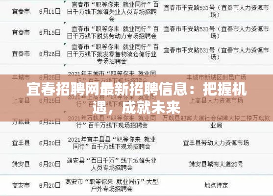 宜春招聘網(wǎng)最新招聘信息：把握機(jī)遇，成就未來(lái)