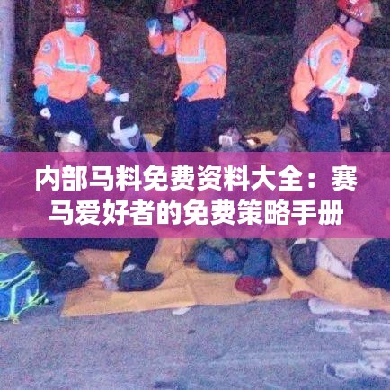 內(nèi)部馬料免費(fèi)資料大全：賽馬愛好者的免費(fèi)策略手冊(cè)