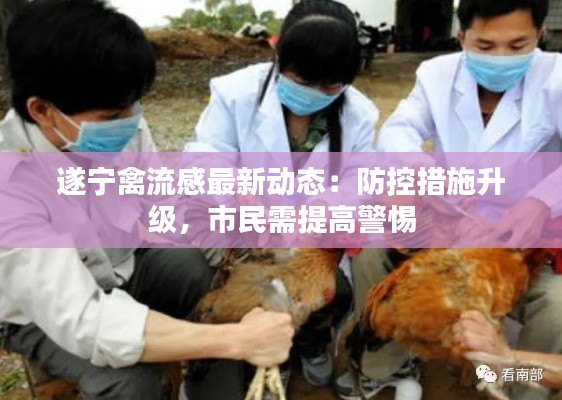 遂寧禽流感最新動態(tài)：防控措施升級，市民需提高警惕