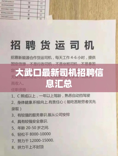 大武口最新司機(jī)招聘信息匯總