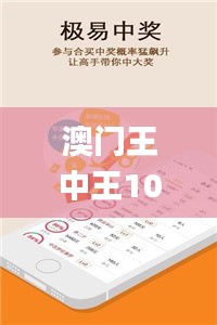澳門王中王100期期中一期,廣泛方法解析說明_儲蓄版5.639