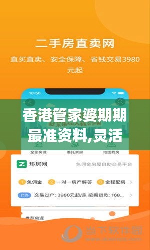 香港管家婆期期最準(zhǔn)資料,靈活解析實(shí)施_安卓版10.736