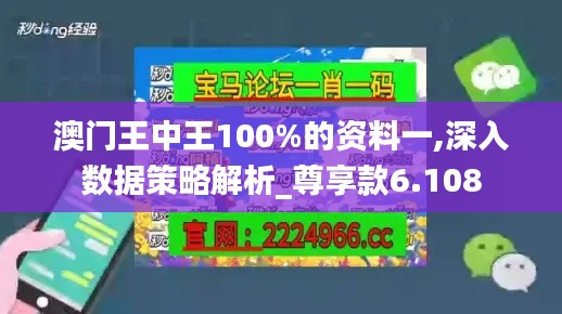 澳門王中王100%的資料一,深入數(shù)據(jù)策略解析_尊享款6.108