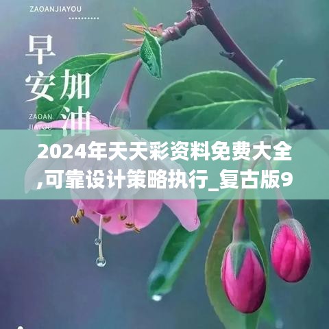 2024年天天彩資料免費(fèi)大全,可靠設(shè)計(jì)策略執(zhí)行_復(fù)古版9.147