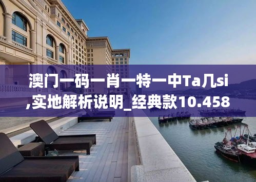 澳門一碼一肖一特一中Ta幾si,實(shí)地解析說明_經(jīng)典款10.458