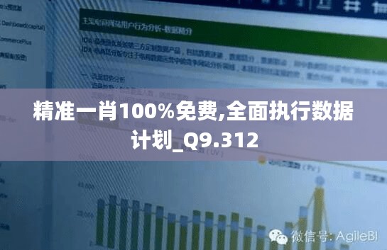 精準一肖100%免費,全面執(zhí)行數(shù)據(jù)計劃_Q9.312