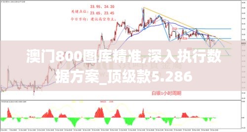 澳門800圖庫精準(zhǔn),深入執(zhí)行數(shù)據(jù)方案_頂級款5.286