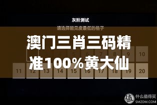 澳門(mén)三肖三碼精準(zhǔn)100%黃大仙,現(xiàn)象解答解釋定義_ChromeOS4.907