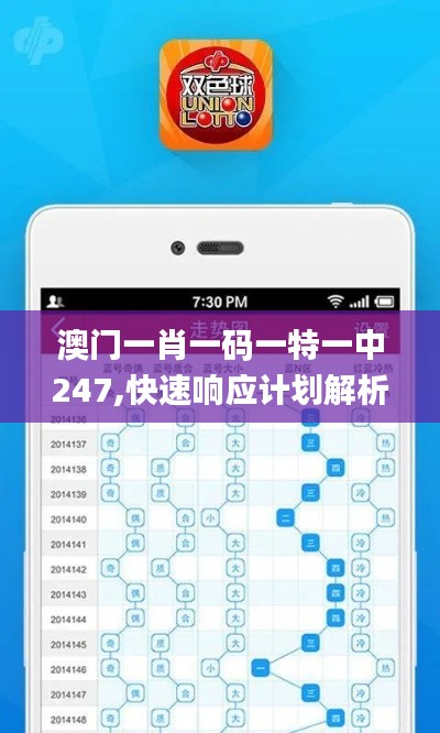 澳門一肖一碼一特一中247,快速響應(yīng)計(jì)劃解析_尊貴款8.965