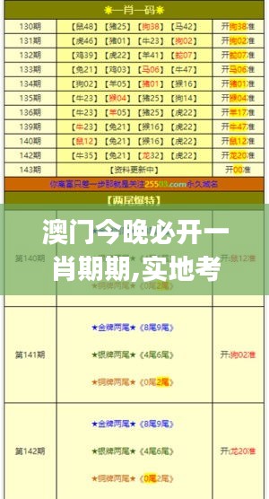 澳門今晚必開一肖期期,實(shí)地考察分析_suite5.534