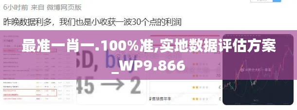 最準(zhǔn)一肖一.100%準(zhǔn),實(shí)地?cái)?shù)據(jù)評(píng)估方案_WP9.866