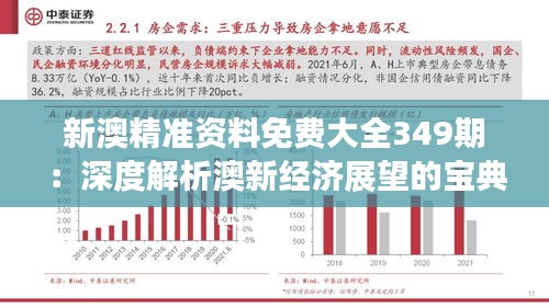新澳精準資料免費大全349期：深度解析澳新經(jīng)濟展望的寶典