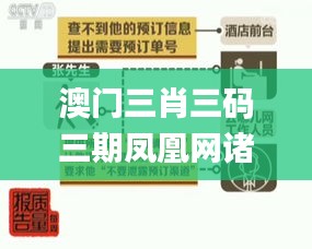 澳門三肖三碼三期鳳凰網(wǎng)諸葛亮,實(shí)地調(diào)研解釋定義_精簡(jiǎn)版7.733