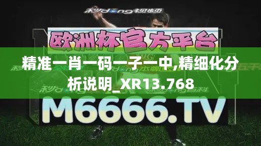 精準(zhǔn)一肖一碼一子一中,精細(xì)化分析說(shuō)明_XR13.768